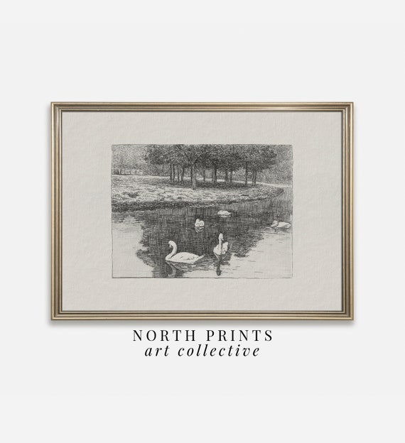 Swan Country Pond Sketch, Farmhouse Nursery Art Print