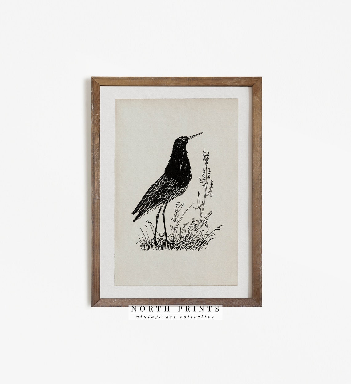 Antique Shorebird Ink Sketch Wading Bird Minimalist Art Print