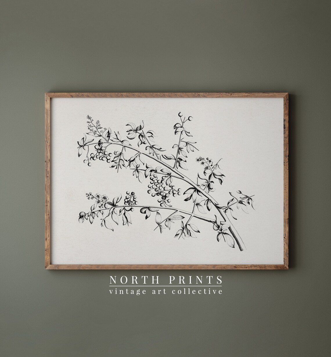 Minimalist Botanical Sketch, Vintage Flower Poster - Image 4