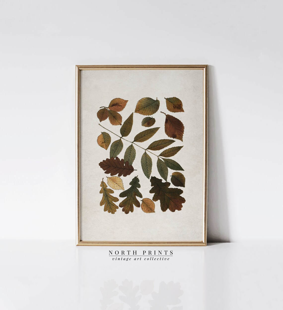 Antique Autumn Botanical Leaf Art Print, Fall Decor