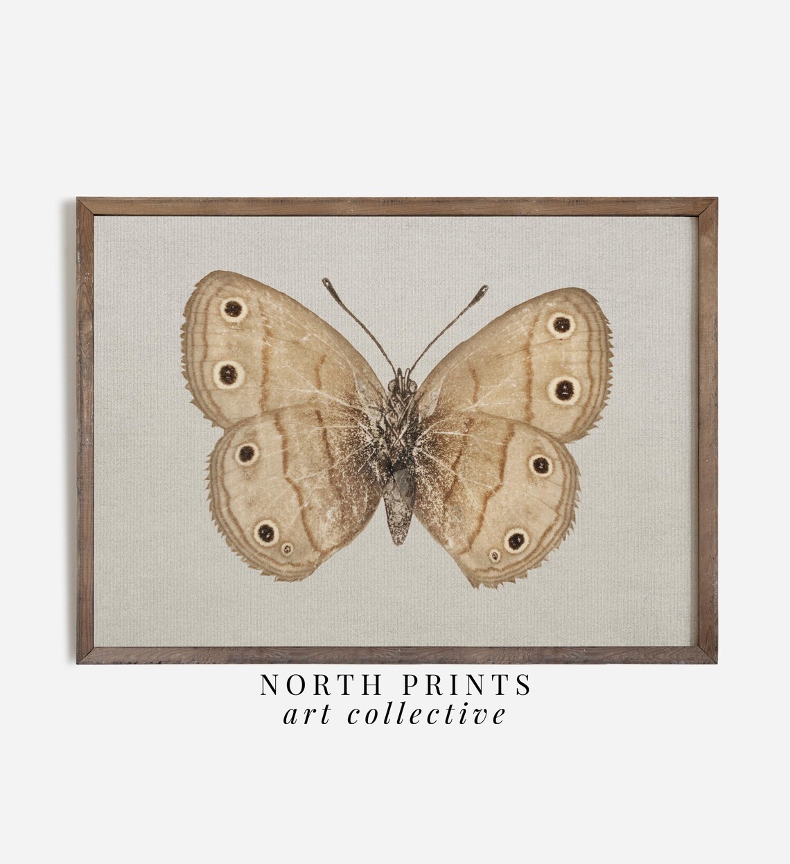 Vintage Butterfly and Moth Art Print, Cottagecore Decor - Image 2