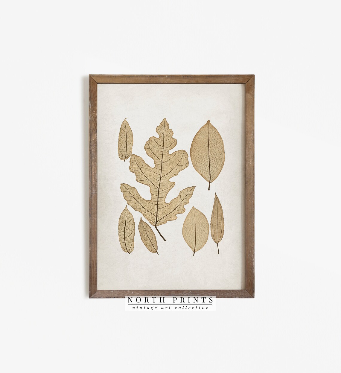 Neutral Autumn Botanical Leaf Art, Vintage Country - Image 4