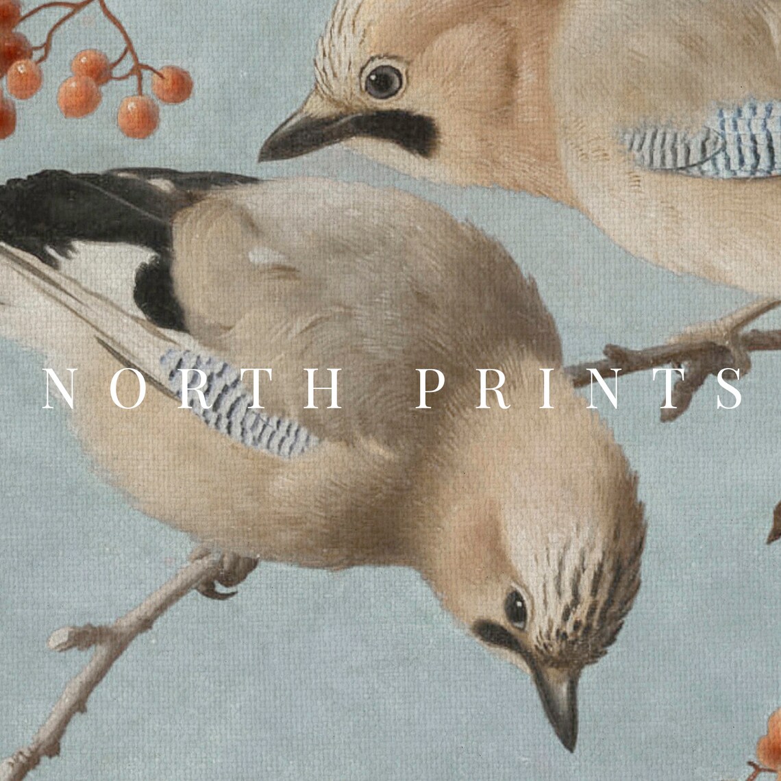 Vintage Bird Painting, Soft Blue Art Print - Image 2