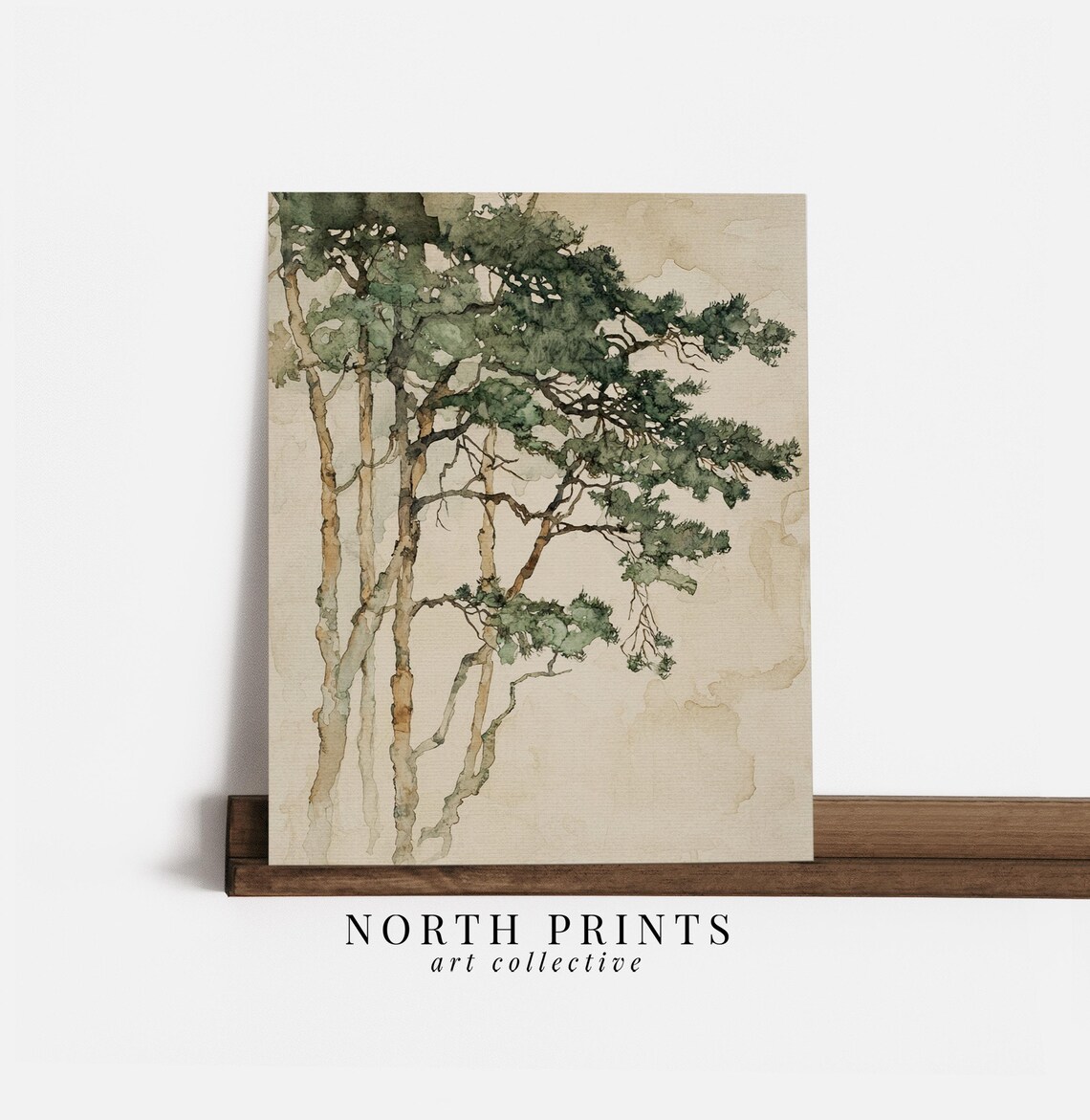 Pine Tree Minimalist Watercolor Art Print - Image 3
