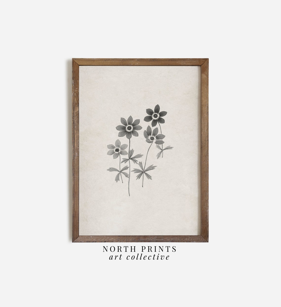 Gray Anemone Flower Botanical Illustration Vintage Nursery Wall Art - Image 3