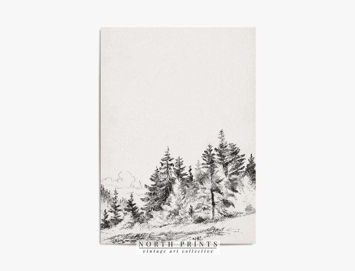 Vintage Tree Study, Forest Sketch Landscape - Image 3
