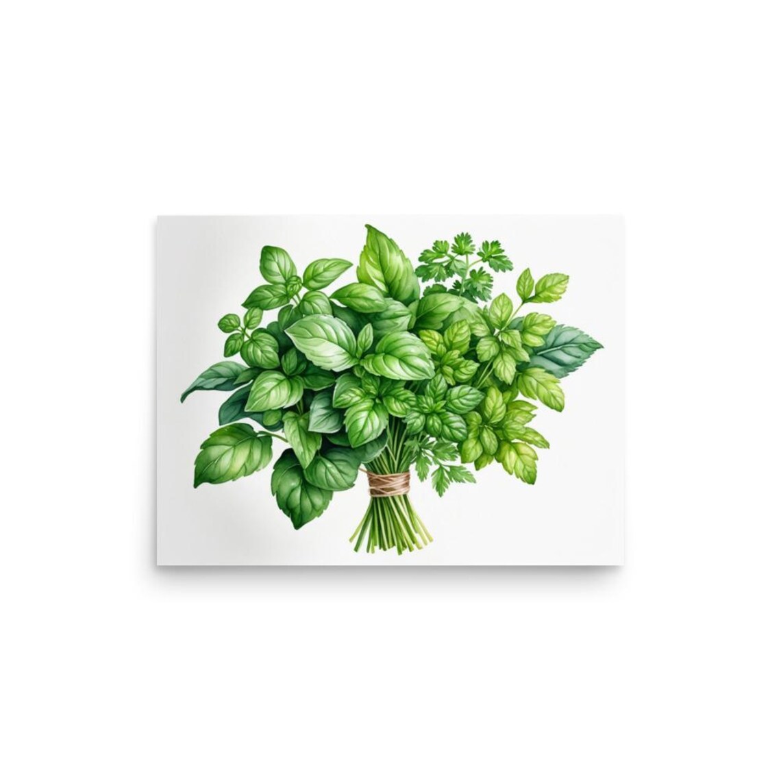 Parsley and Basil Watercolor Art Print, Botanical Herbs - Image 3