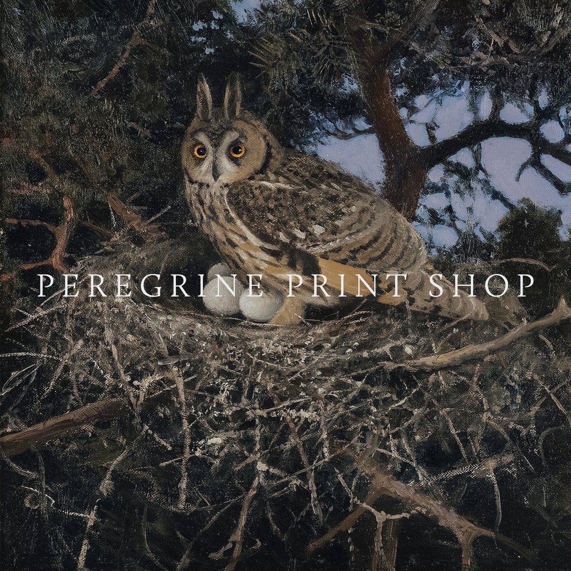 Long-Eared Owl in Nest with Eggs Night Forest Vintage Art Print - Image 2