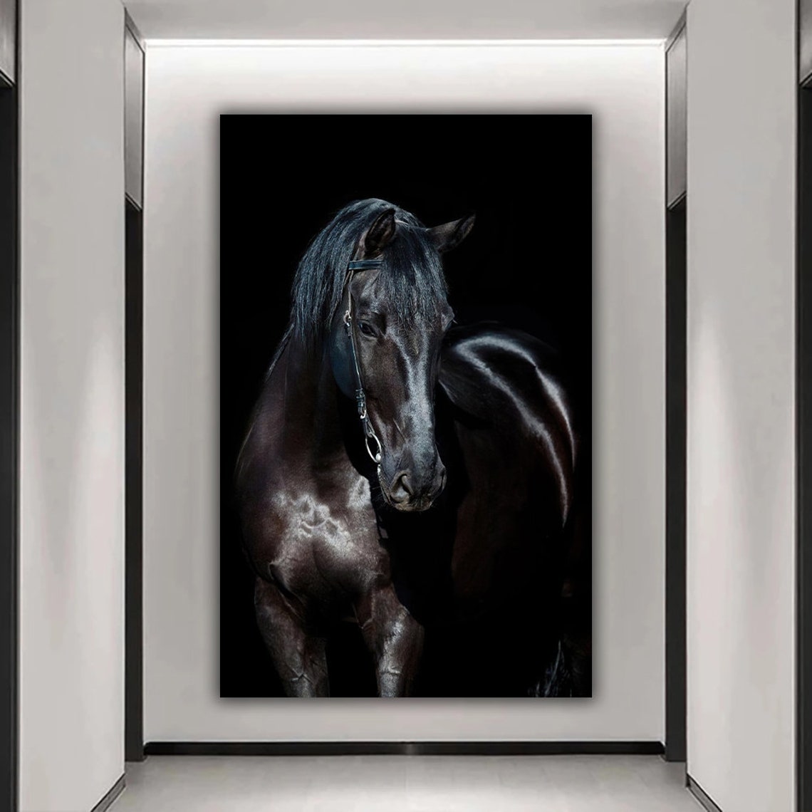 Black Horse Portrait Dramatic Black Background Elegant Stallion Art