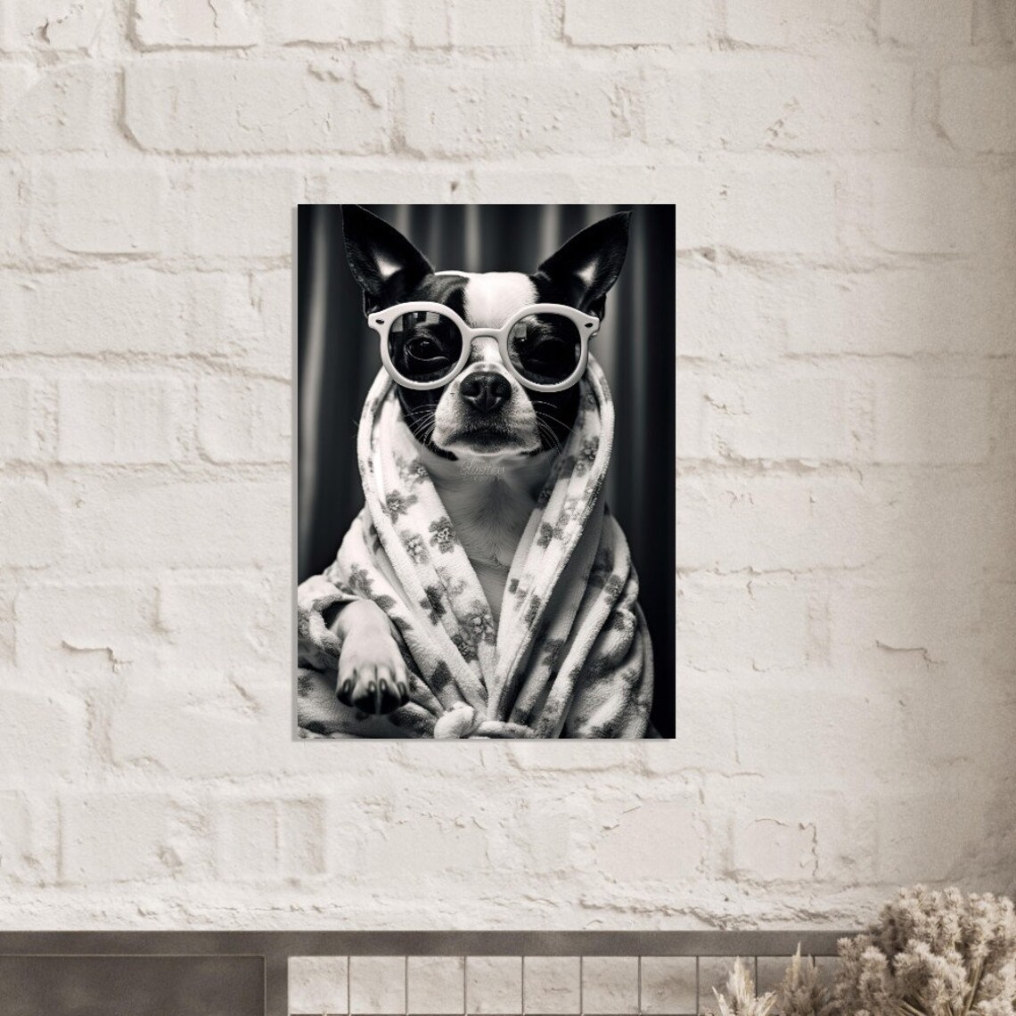 Boston Terrier In Robe With Sunglasses Poster