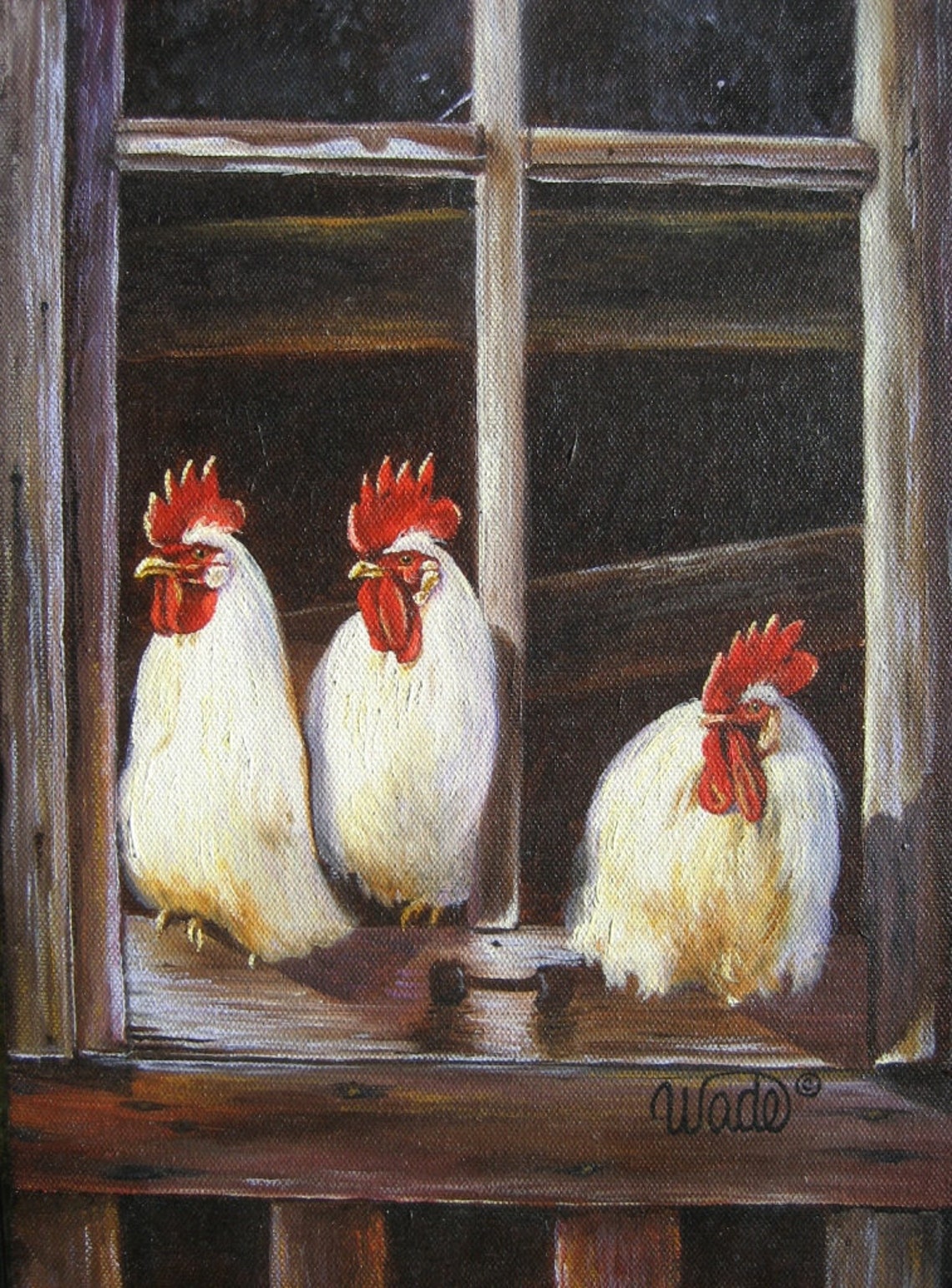 Three White Roosters Looking Out of a Farm Coop Window Poster