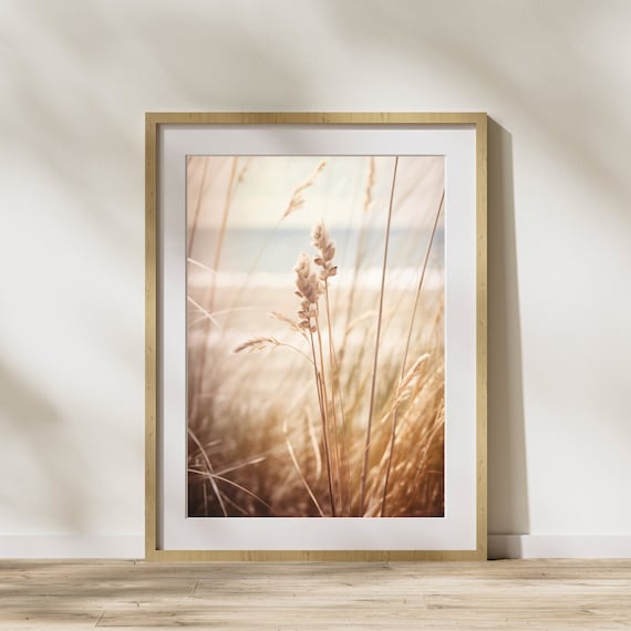 Nature Picture Dune Grass 1 Poster On Matte Premium Paper Decoration Wall Decoration