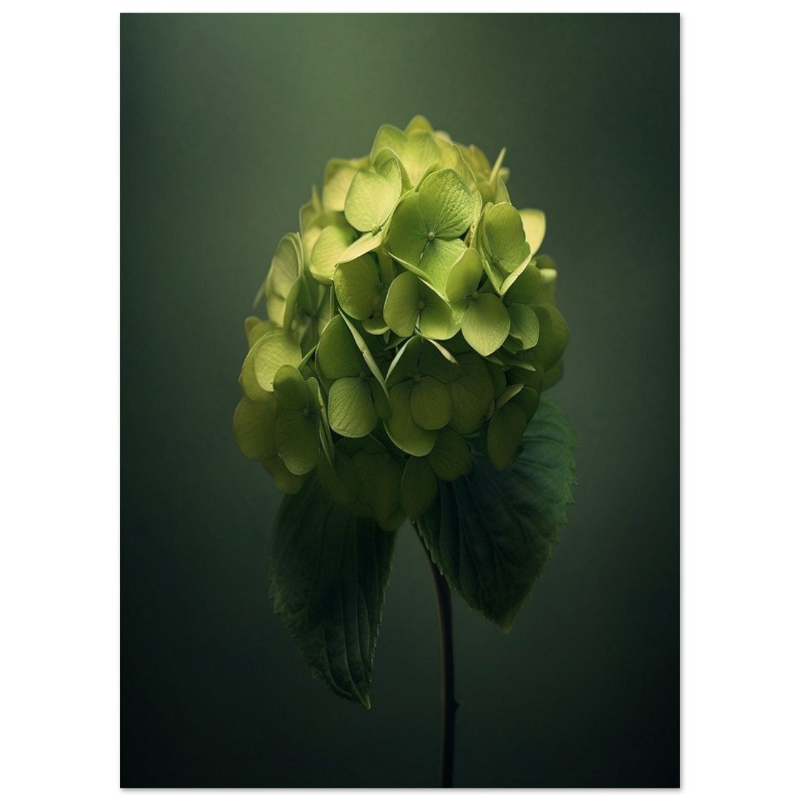 Green Hydrangea Blossom Dark Moody Botanical Photography Wall Art - Image 2