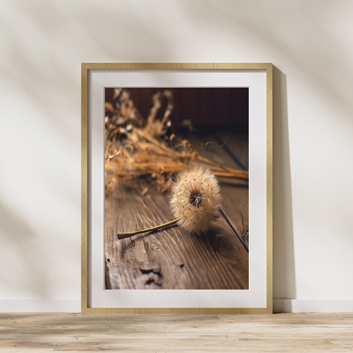 Lone Dandelion Seed Head On Dark Wood Moody Botanical Photography Print