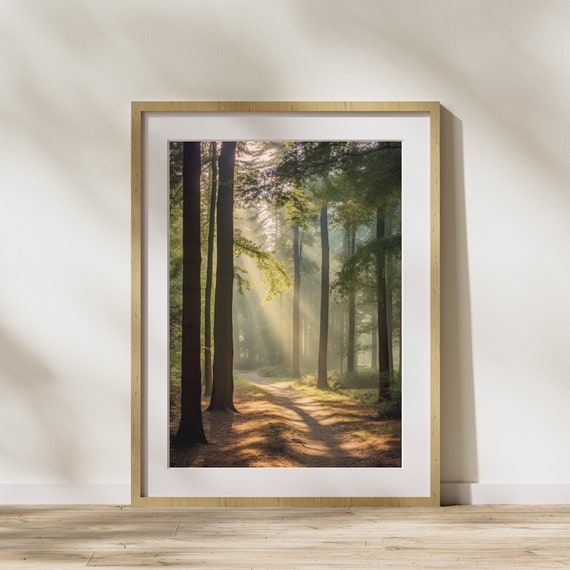 Nature Picture Forest Poster On Matte Premium Paper Decoration Wall Decoration