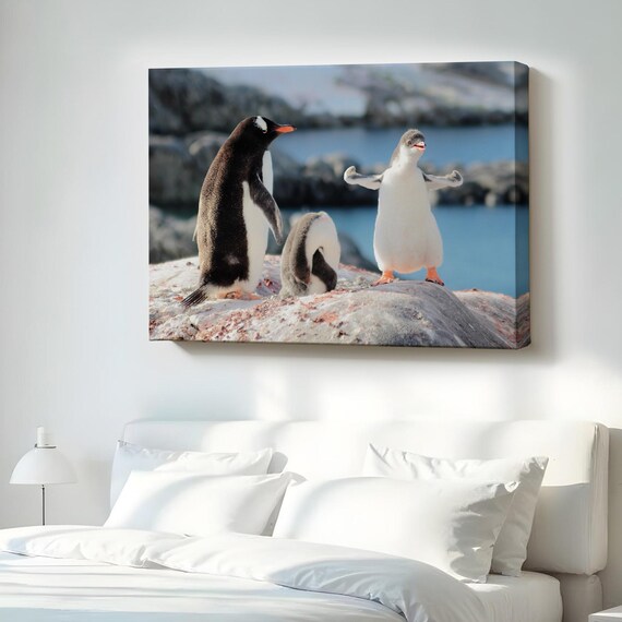 Playful Penguin Family Antarctic Wildlife Photography Canvas Print