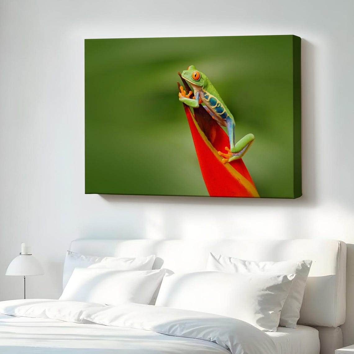 Red Eyed Tree Frog on Leaf Macro Nature Photography Green Wall Poster