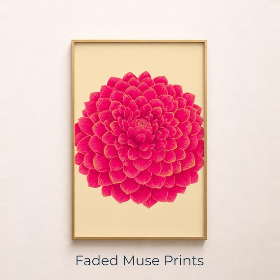 Vibrant Pink Dahlia Flower Botanical Illustration Cream Wall Poster