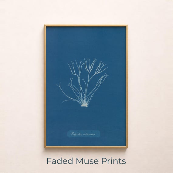 Cyanotype Seaweed Print Minimal Botanical Wall Art Coastal Vintage Home Decor Digital Download 513