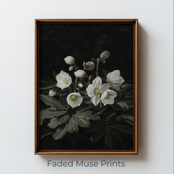Vintage Christmas Rose Botanical Painting Moody Flower Wall Art Digital Download 1081
