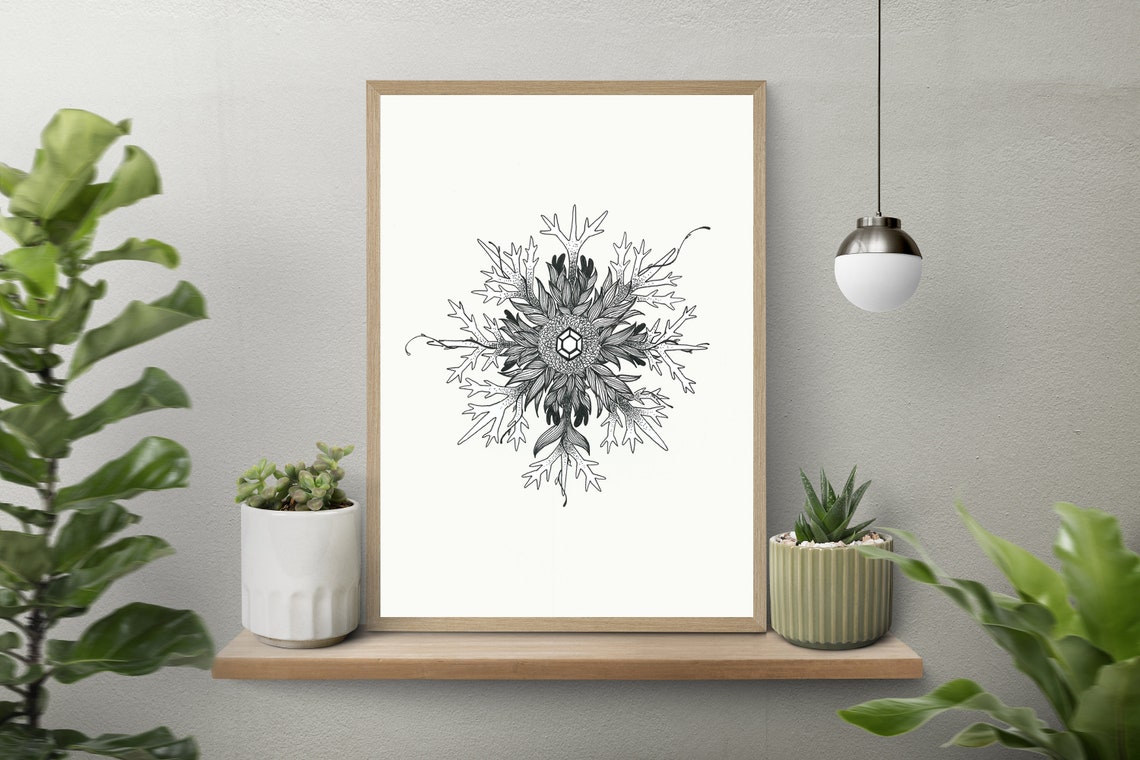 Black and White Botanical Mandala Intricate Radial Line Art Poster