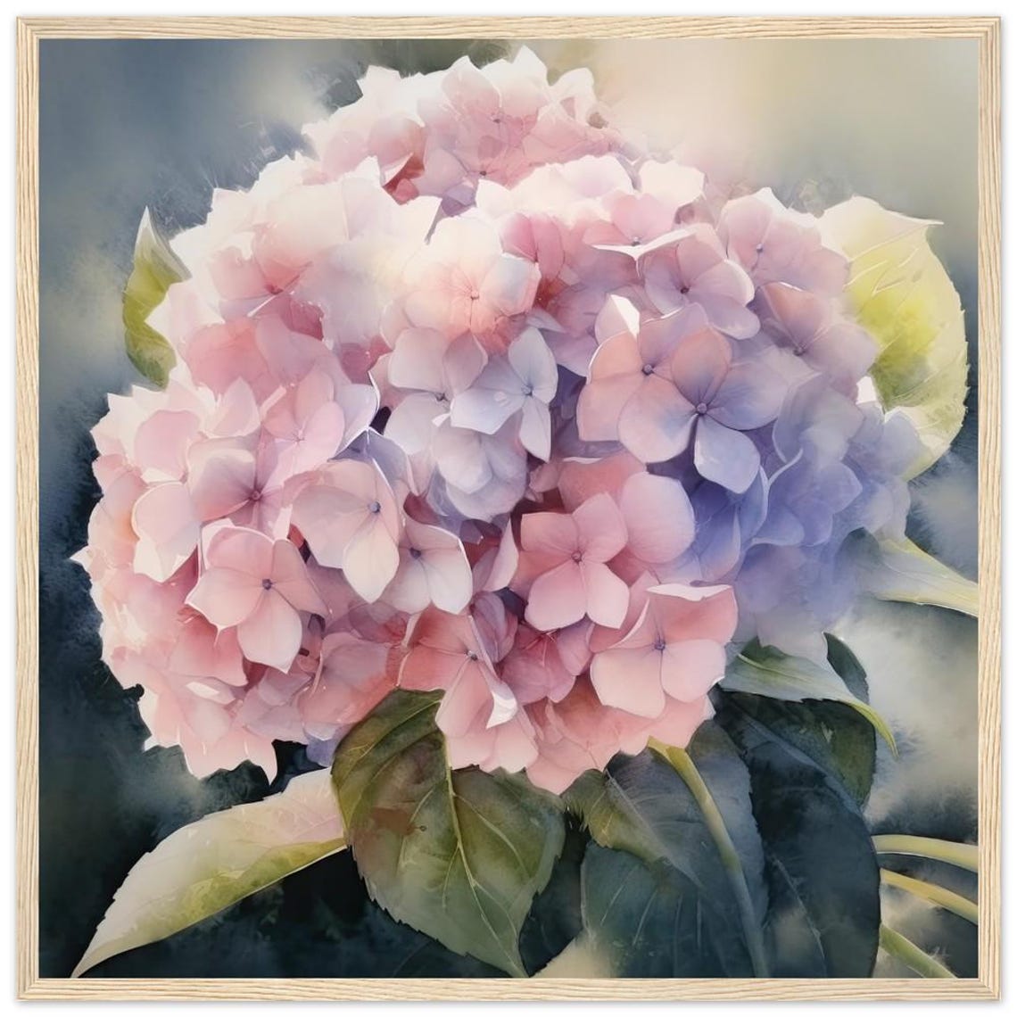 Hydrangea Soft Pink And Blue Blossom Heads Watercolor Poster