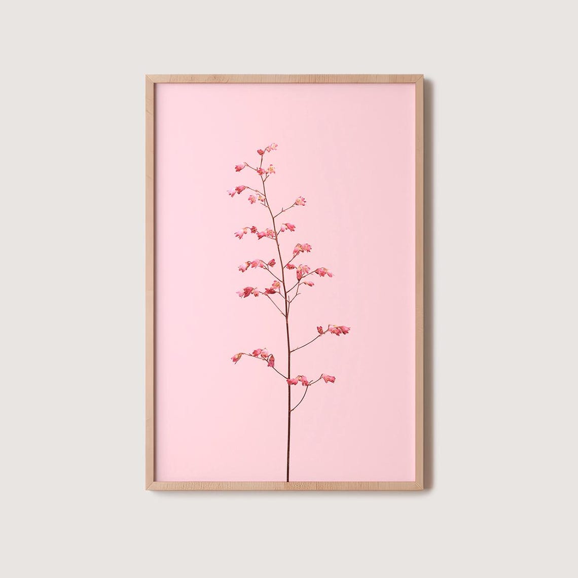 Pink Blossom Sprig on Blush Pink Minimalist Botanical Photo Poster