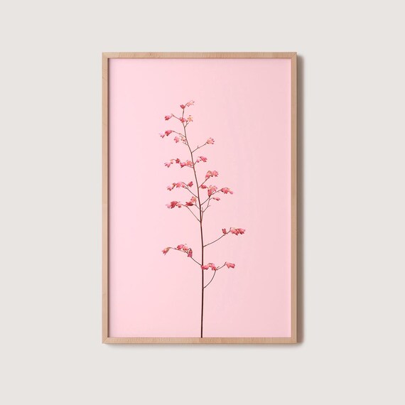 Pink Blossom Sprig on Blush Pink Minimalist Botanical Photo Poster