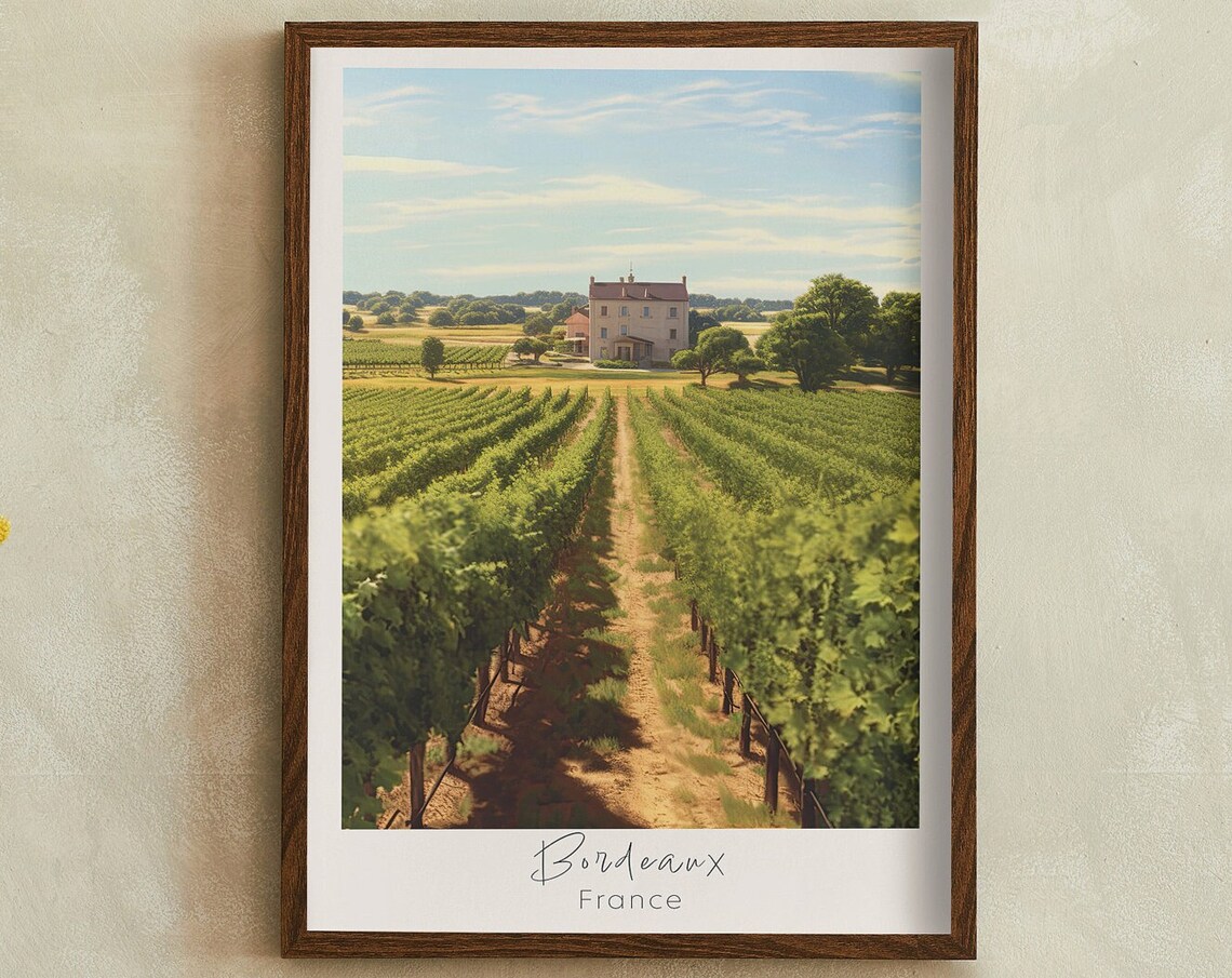 Bordeaux Vineyard Chateau Rows In France Wine Country Poster