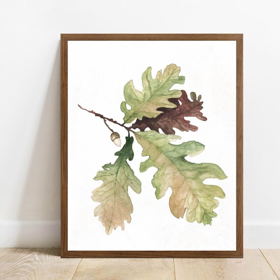 Watercolor Oak Leaves Acorn Branch Autumn Botanical Fall Foliage Poster