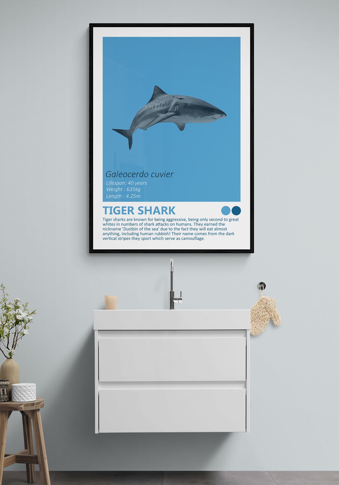 Tiger Shark Fact Sheet, Nautical Kids Room Decor - Image 2