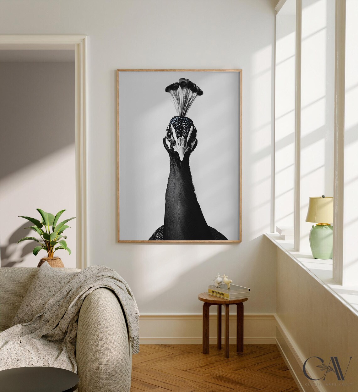 Black and White Peacock Portrait Front View Bird Photography Poster - Image 2