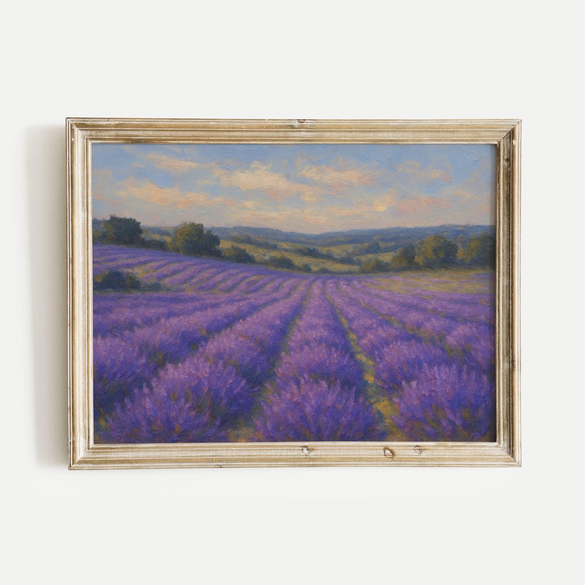 Endless Rows of Purple Lavender Fields in Summer Bloom Poster