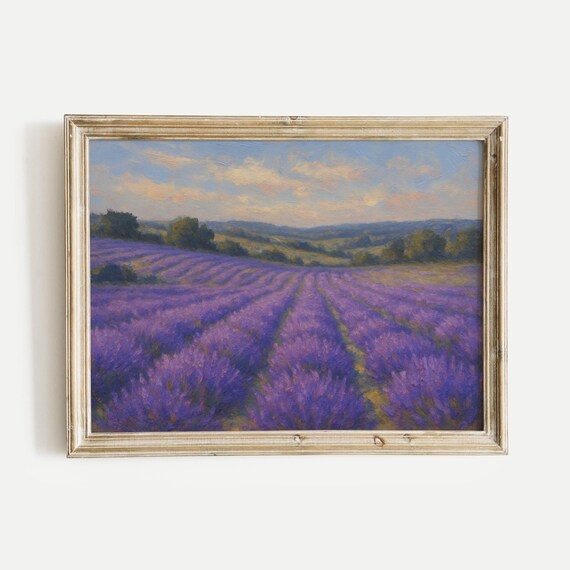 Endless Rows of Purple Lavender Fields in Summer Bloom Poster