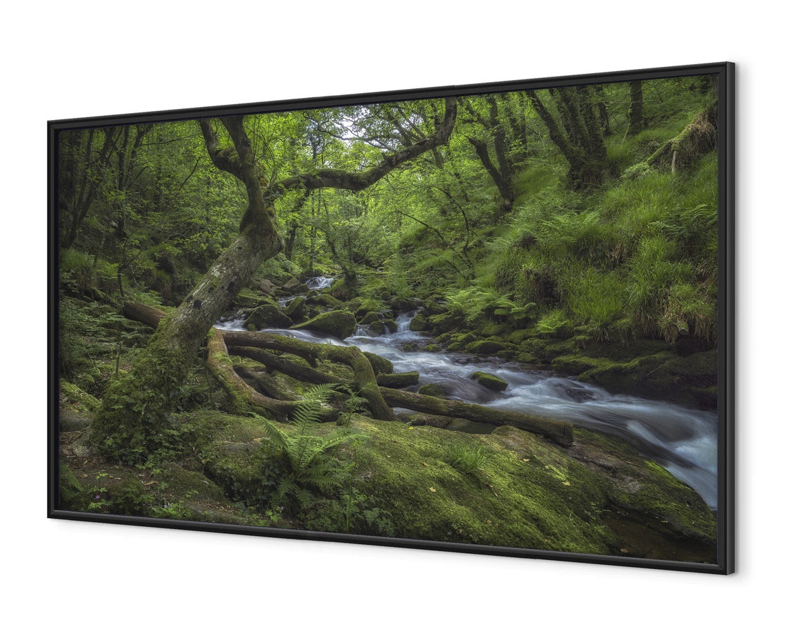 Cornwall Forest Stream Mossy Rocks Flowing Water England Poster - Image 4