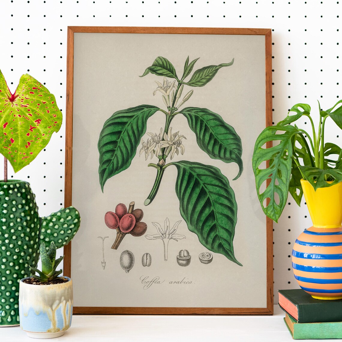 Coffea Arabica Vintage Botanical Coffee Plant Illustration Poster - Image 2