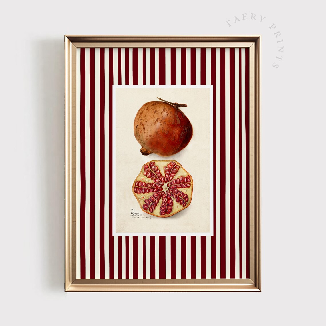 Pomegranate Fruit Vintage Minimalistic Art Print