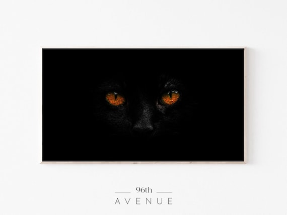 Halloween Black Cat Eyes Frame TV Art
