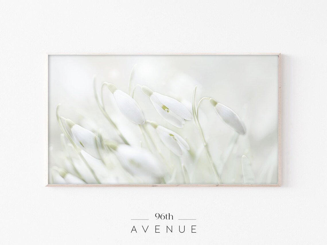 Frame Tv Art Snowdrop Art For Tv Spring Flowers Art Frame Tv Art Nature Art Tv Art For Tv Floral Tv Art