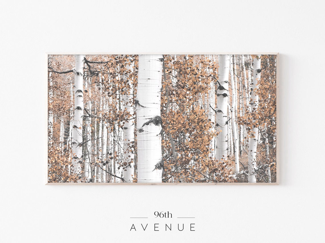 White Birch Trunks Golden Autumn Aspen Forest Neutral Poster