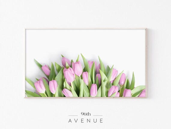 Spring Flowers, Spring Tulips Art Print