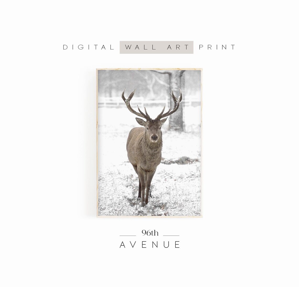Majestic Stag with Large Antlers Standing in a Snowy Field Poster