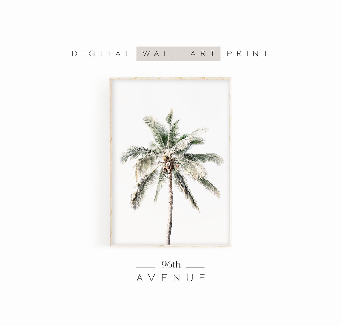 Single Palm Tree Minimal Botanical Neutral Tropical Photo Print - Image 3