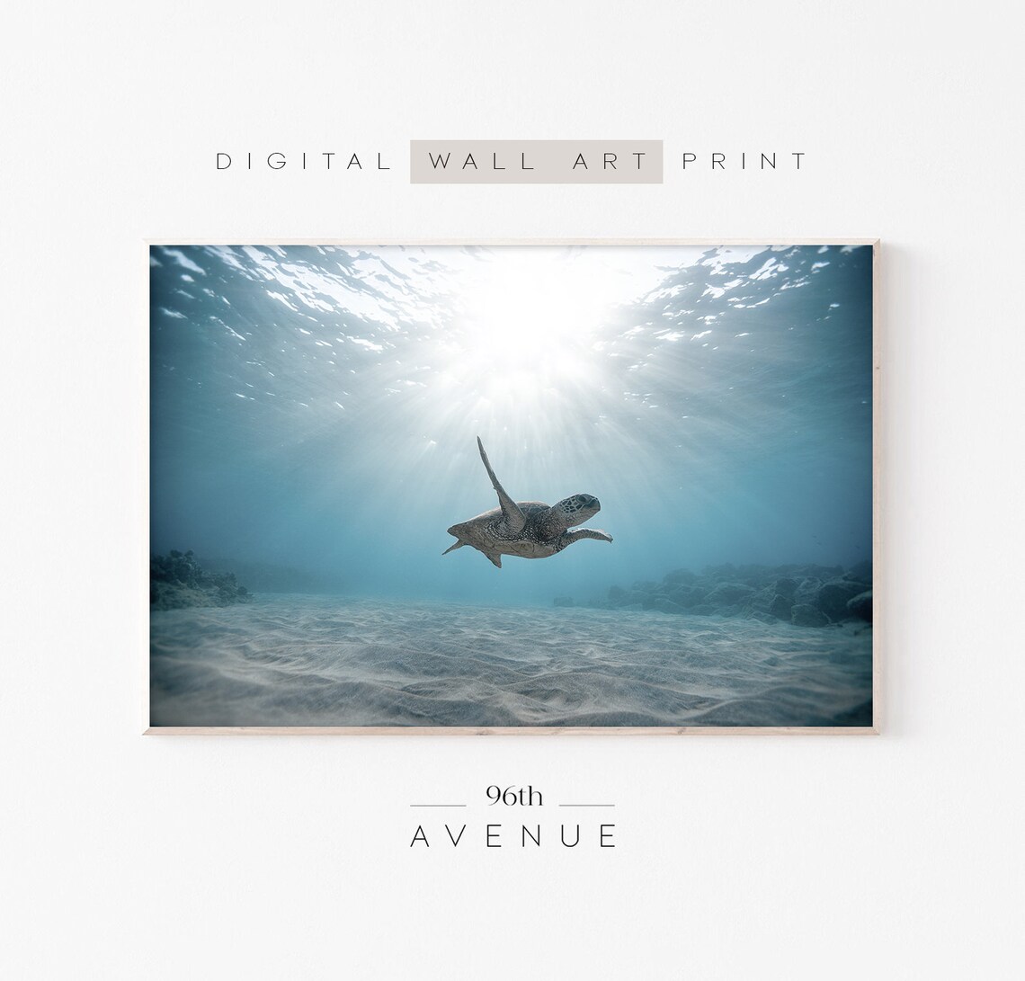 Sea Turtle Ocean Art Print, Beach Wall Decor