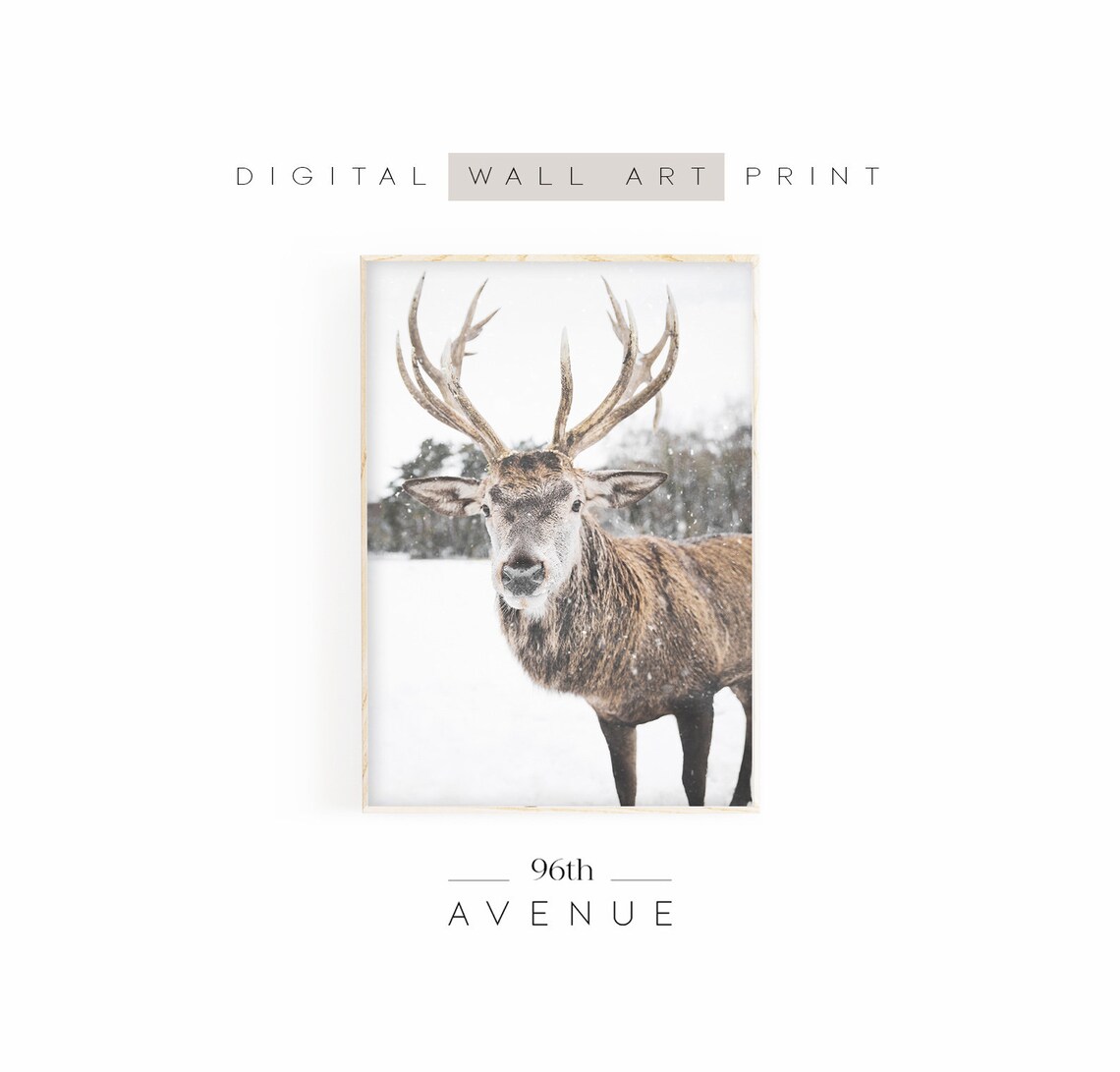Winter Deer Christmas Wall Art, Woodland Poster
