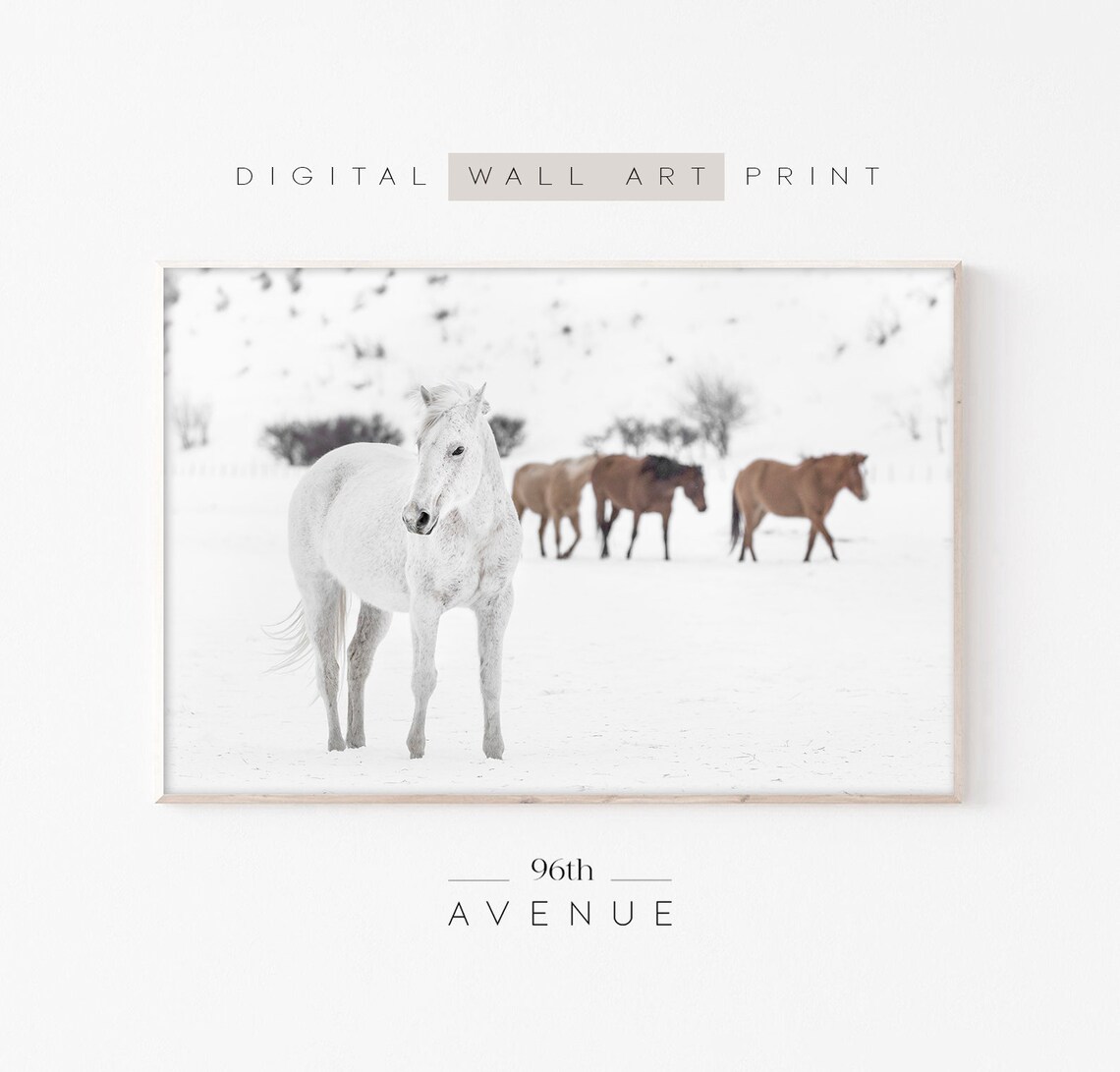 Horses in the Snow White Horse Winter Farmhouse Photography Poster