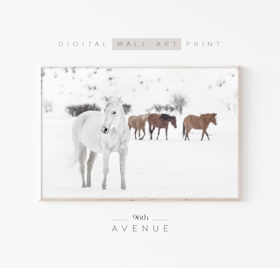Horses in the Snow White Horse Winter Farmhouse Photography Poster