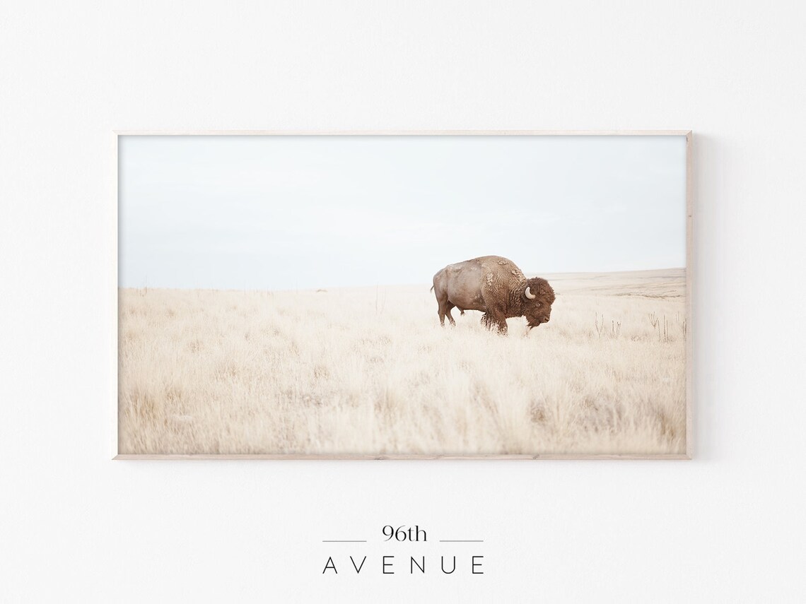 Farmhouse Bison Art, Western Wall Art Print