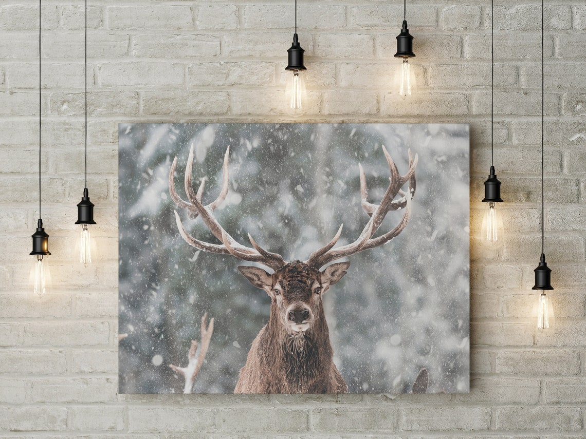 Winter Deer Art Print, Christmas Decor - Image 2