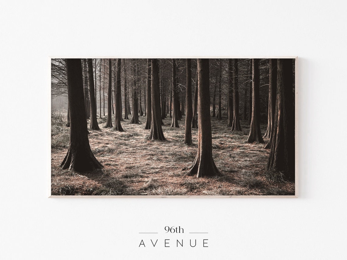 Halloween Scary Forest Art Print